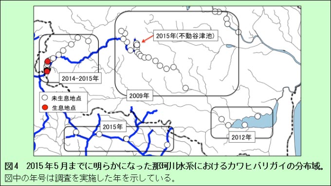 図4　2015年5月までに明らかになった那珂川水系におけるカワヒバリガイの分布域。図中の年号は調査を実施した年を示している。
