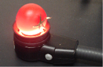 (写真)光の拡散反射を利用したトマト品質の非接触非破壊計測