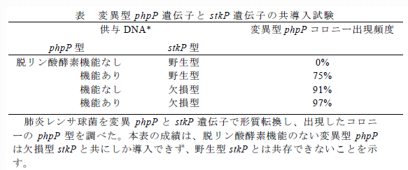 表1 変異型phpP遺伝子とstkP遺伝子の共導入試験