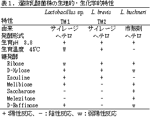 表1.選抜乳酸菌株の生理的・生化学的特性