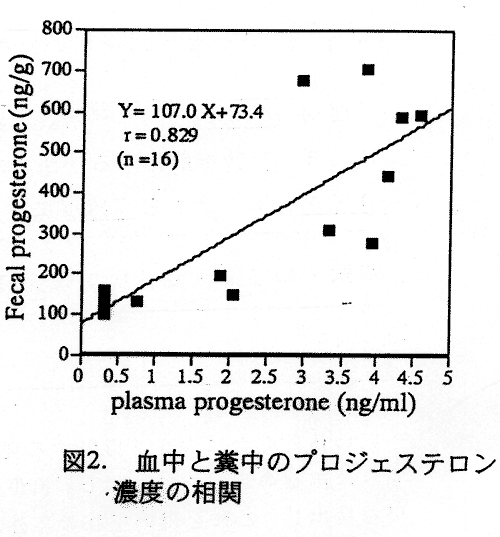 図2 血中と糞中のプロジェステロン濃度の相関