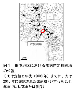 図1 田港地区における無病苗定植圃場の位置