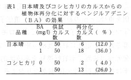 表1 日本晴及びコシヒカリのカルスからの植物体再分化に対するベンジルアデニンの効果