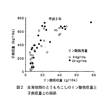 図2 生育初期のとうもろこしのリン酸吸収量と子実収量との関係