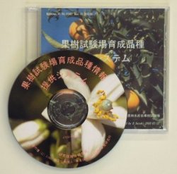 写真.CD-ROM