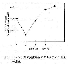 図1 コマツナ葉の黄化過程のグルタチオン含量の変化