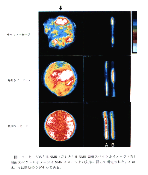 図 ソーセージのH-NMRとH-NMR局所スペクトルイメージはNMRイメージ上の矢印に沿って測定された。Aは水、Bは脂肪のシグナルである。