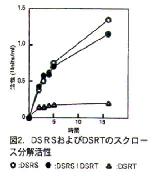 図2 DSESおよびDSRTのスクロース分解活性