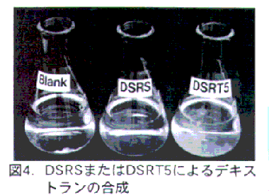 図4 DSRSまたはDSRT5によるデキストランの合成