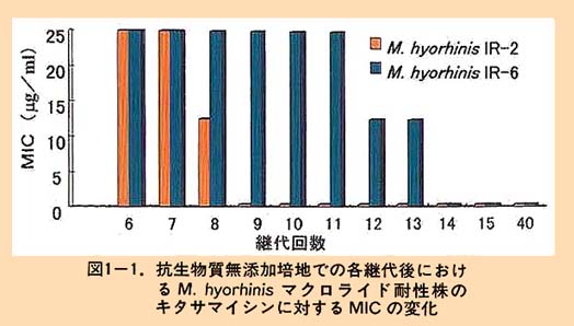図1-1 抗生物質無添加培地での各継代後におけるM.hyorhinisマクロライド耐性株のキタサマイシンに対するMICの変化