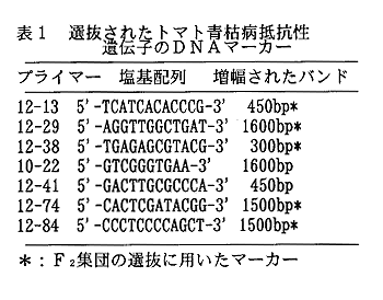 表1 選抜されたトマト青枯病抵抗性遺伝子のDNAマーカ