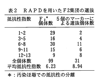 表2 RAPDを用いたF2集団の選抜