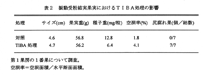 表2:振動受粉結実果実におけるTIBA処理の影響