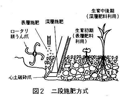 図2.二段施肥方式