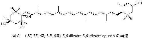 図2 (3S, 5S, 6R, 3'R, 6'R)-5,6-dihydro-5,6-dihydroxyluteinの構造