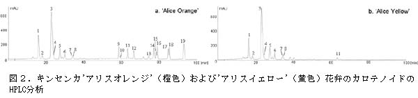 図2.キンセンカ‘アリスオレンジ’(橙色)および‘アリスイエロー’(黄色)花弁のカロテノイドの HPLC 分析