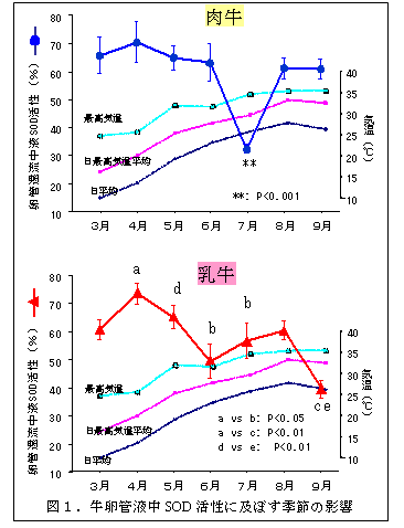 図1.牛卵管液中SOD活性に及ぼす季節の影響