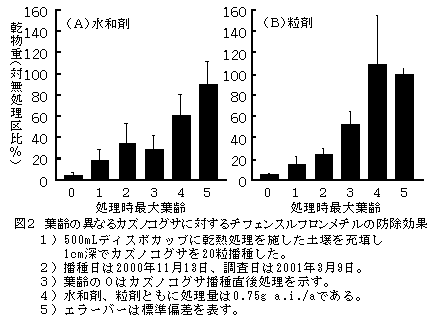 図2 葉齢の異なるカズノコグサに対するチフェンスルフロンメチルの防除効果