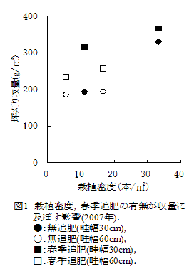 図1 栽植密度,春季追肥の有無が収量に及ぼす影響(2007年).