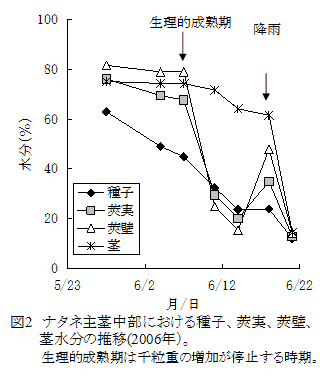 図2 ナタネ主茎中部における種子、莢実、莢壁、茎水分の推移(2006年)。