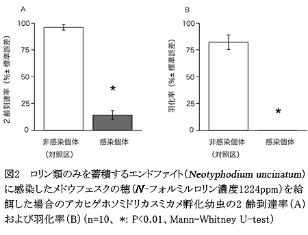 図2 ロリン類のみを蓄積するエンドファイト(Neotyphodium uncinatum)に感染したメドウフェスクの穂(N-フォルミルロリン濃度1224ppm)を給餌した場合のアカヒゲホソミドリカスミカメ孵化幼虫の2齢到達率(A)および羽化率(B)(n=10、 *: P<0.01、 Mann-Whitney U-test)