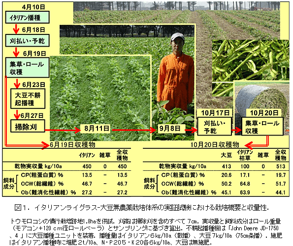 図1.イタリアンライグラス-大豆無農薬栽培体系の実証試験における栽培概要と収量性.