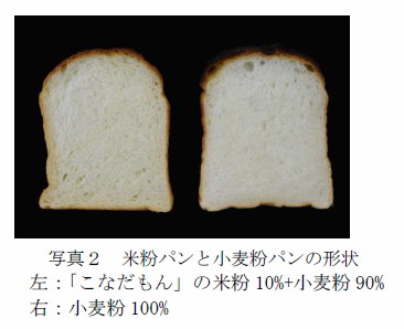 写真2 米粉パンと小麦粉パンの形状