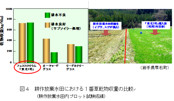 図4 耕作放棄水田における1番草乾物収量の比較