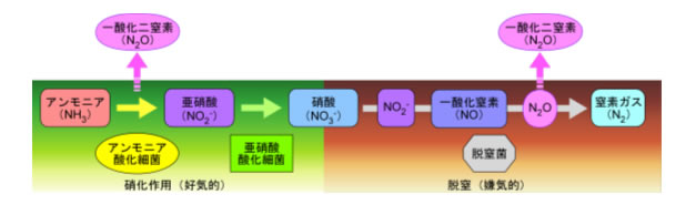 一酸化二窒素用語解説図