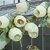果物の花