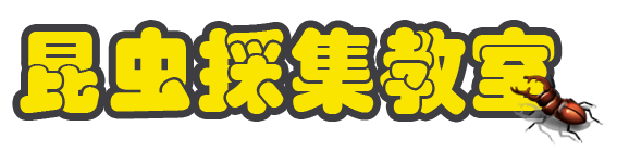 �����̏W����