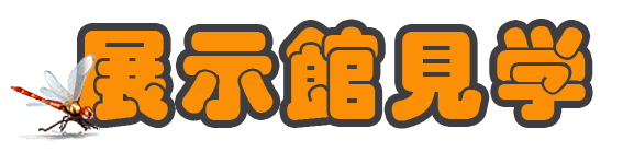 �W���ٌ��w