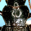 Dorsal