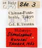 Labels