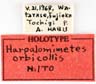 Labels