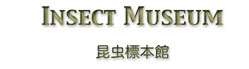 insect museum