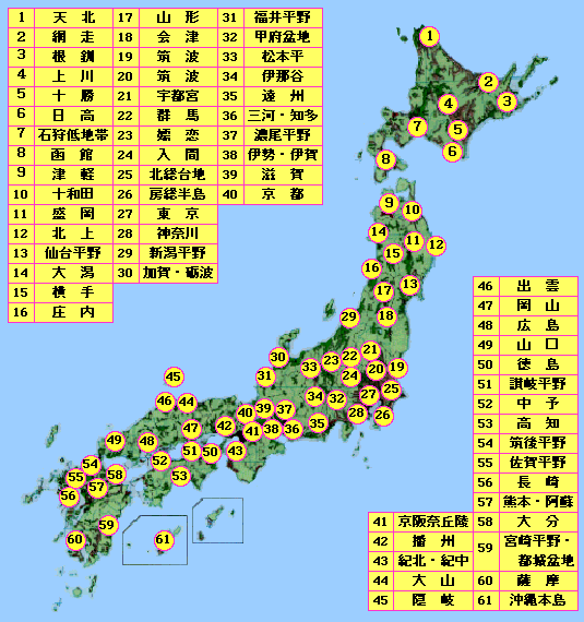 F猩{̔_