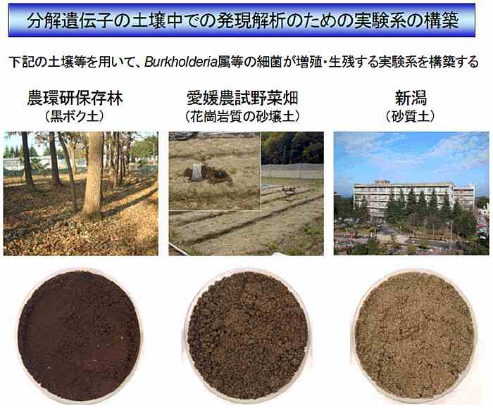 `q̓y뒆ł̔͂̂߂̎n̍\zi}j