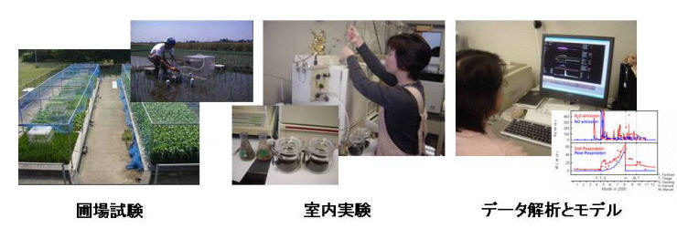 ʃKXqǒ@iޏꎎAAf[^͂ƃfjiʐ^j