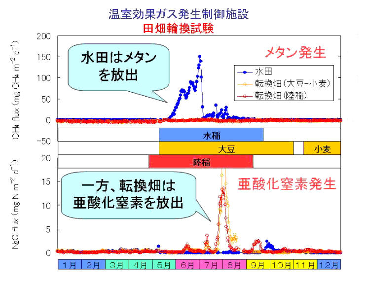 水田と転換畑からのメタンと亜酸化窒素の発生（グラフ）