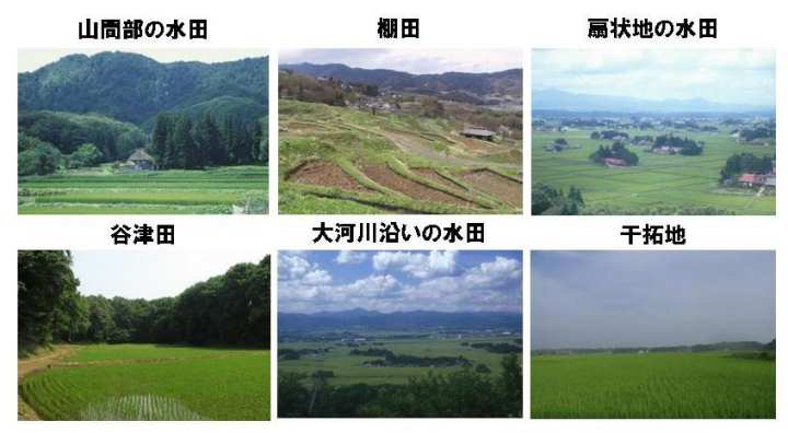 Rԕ̐cAIcAn̐cAJÓcA͐쉈̐cAniʐ^j