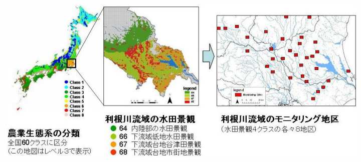 _ƐԌn̕ށiS}bvjA여̐ciρA여̃j^Oni}bvj
