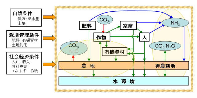 炭素・窒素循環モデルのスキーム （図）
