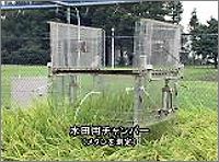 _n̉ʃKX̑