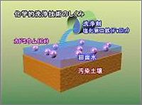 カドミウム汚染土壌の化学的洗浄