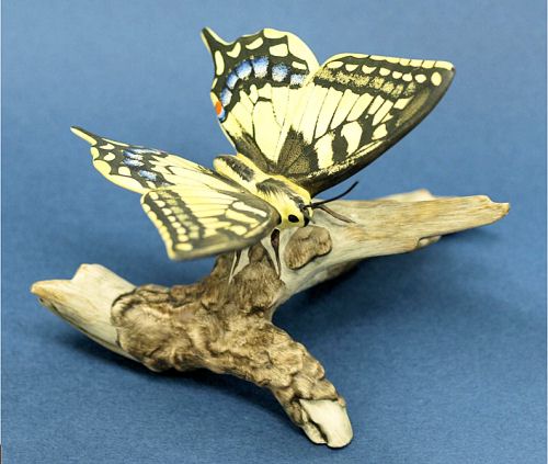 �����̃`���E�i�h�C�c�Y�j�i�ʐ^�j