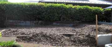 �����t�͔�i�ʐ^�j