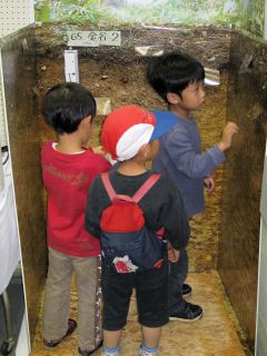 ���ΉȊw�t�F�X�e�B�o���Q�O�O�W�_���u�[�X�i�ʐ^�Q)