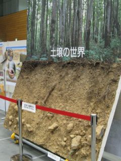 ���ΉȊw�t�F�X�e�B�o���Q�O�O�W�_���u�[�X�i�ʐ^�R)