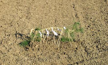 �����ɂ͓`���I�ɐ��c�Łu�c�̐_�v���J���Ă����i�ʐ^�j